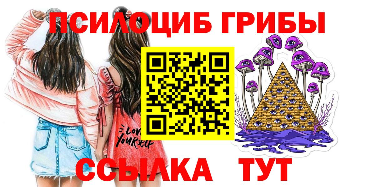 Донской  Псилоцибиновые грибы Psilocybe  хочу наркоту  Вход с VPN 