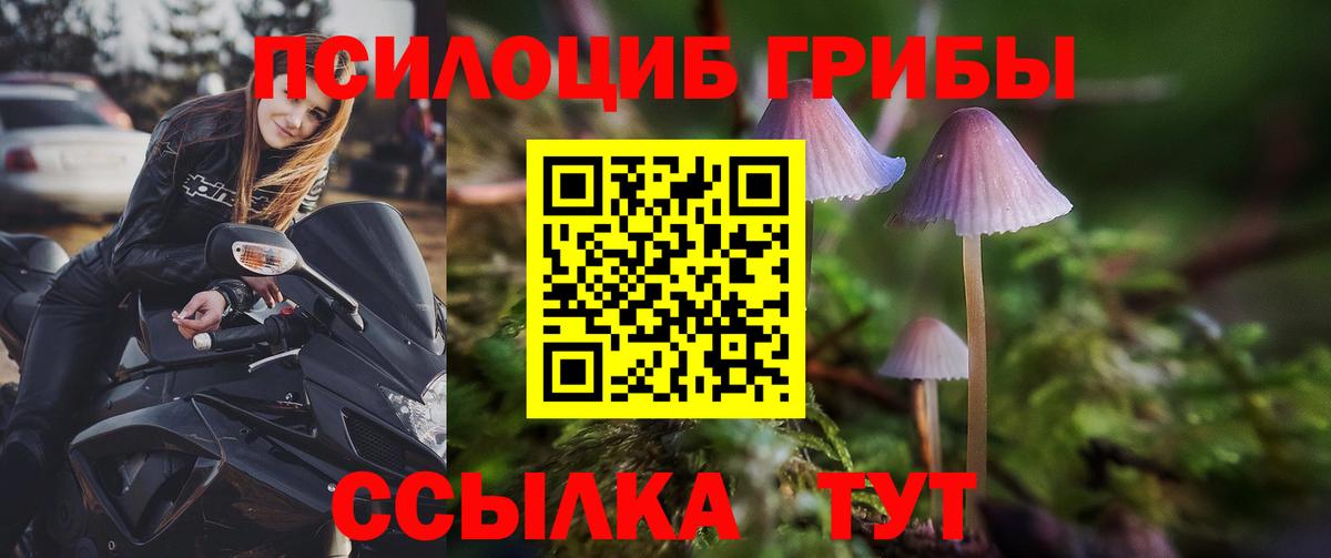 Галлюциногенные грибы Magic Shrooms Донской